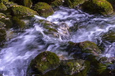 Suda yosun ve ipek etkisi olan yüksek dağ suyu seli