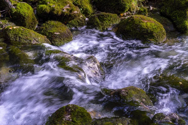 Torrent Eau Haute Montagne Avec Effet Mousse Soie Dans Eau — Photo