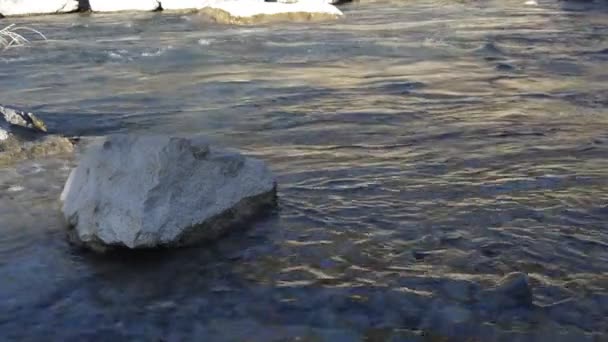 River Its Passage Population Janovas Sobrarbe Aragon Spain — Stock Video