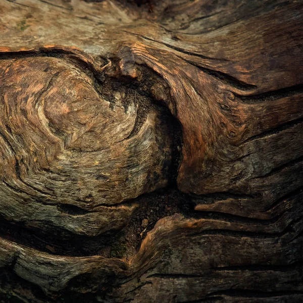 Textura Para Fotografía Hecha Con Madera Teñida — Foto de Stock