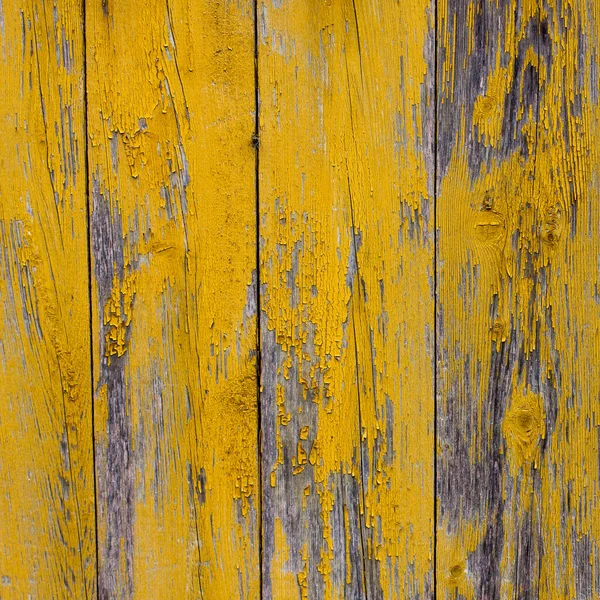 texture for photography made with dyed wood