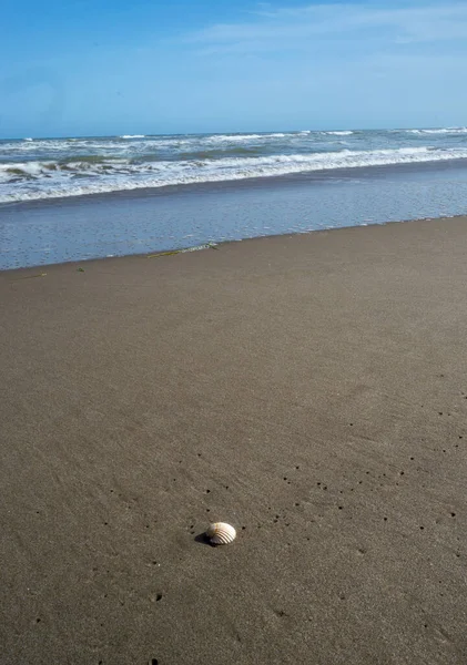 Den Rybaření Prutem Surfování Pláži Deltebre Katalonie Španělsko — Stock fotografie