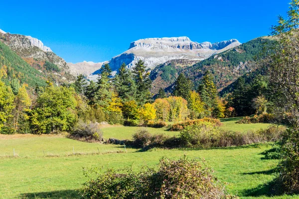 Herfstlandschap Omgeving Van Het Melkdal — Stockfoto