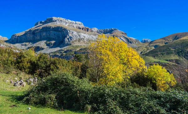 Sağma vadisinin çevresindeki sonbahar manzarası