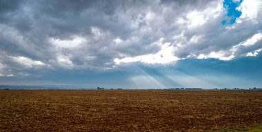 Yeşil çimen ve mavi gökyüzü olan güzel bir manzara.