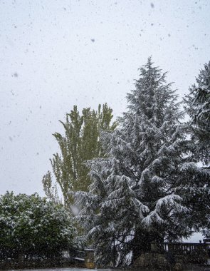 Huesca ilindeki Jaca kasabasının etrafı karla çevrili.