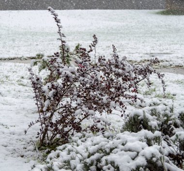 Huesca ilindeki Jaca kasabasının etrafı karla çevrili.