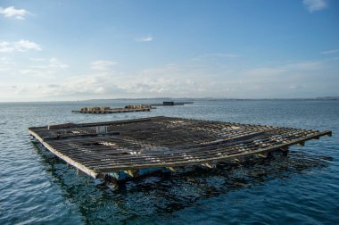 Deniz ve gökyüzü manzarası. Arousa 'nın haliçlerindeki midye çiftlikleri. Denizde midye çiftliği