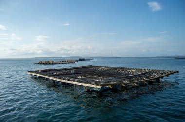 Deniz ve gökyüzü manzarası. Arousa 'nın haliçlerindeki midye çiftlikleri. Denizde midye çiftliği