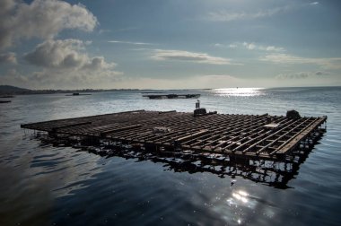 Sahildeki bir rıhtımdaki ahşap bir teknenin güzel bir görüntüsü. Arka planda deniz var. Arousa nehrinde midye çiftlikleri var. Denizde midye çiftliği