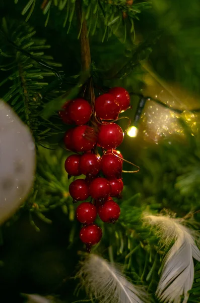 Christmas Tree Red Berries — Stock Photo, Image