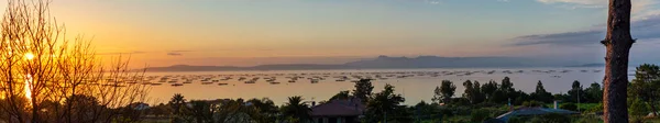 View Sea Sky Mussel Farms Estuary Arousa Mussel Farm Sea — Stock Photo, Image