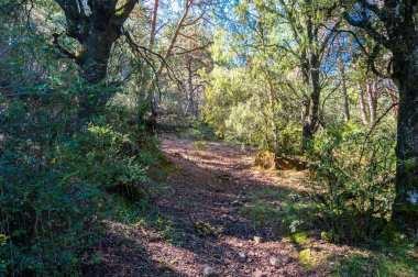 Doğanın güzel manzarası