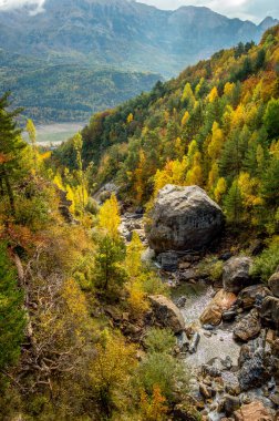 Renkli ağaçlar ve dağlarla dolu sonbahar manzarası