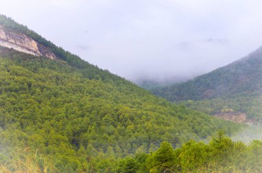 Dağların güzel manzarası