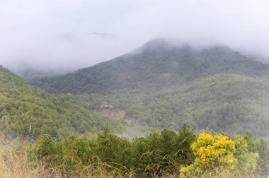 Dağların güzel manzarası