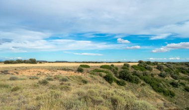 Gökyüzü bulutlarla dolu arazi manzarası