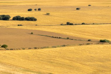 Toskana, İtalya 'nın hava manzarası