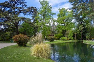 Parkın güzel manzarası