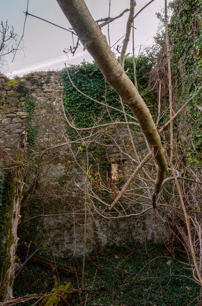 Aldeia Abandonada Província Huesca Chamada Lacort — Fotografia de Stock