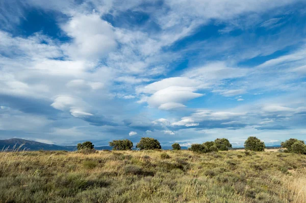 Field Landscape Sky Full Clouds — Stock Photo, Image