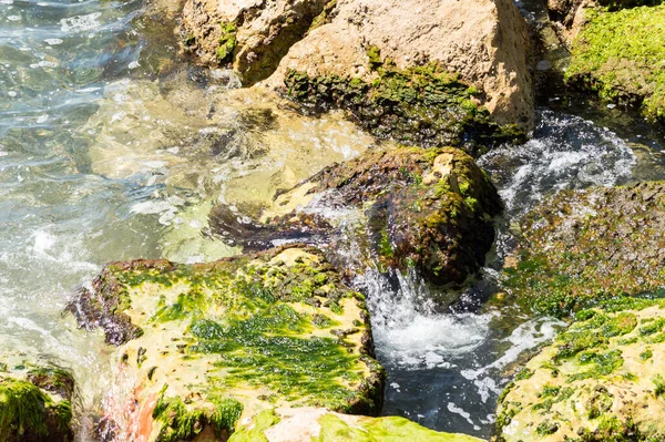 Hermosa Cascada Bosque — Foto de Stock