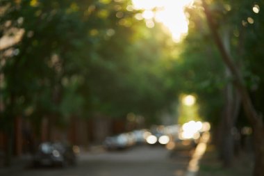 Trafik, yeşil yapraklar ve güneş ışığıyla akşam yolunun soyut arkaplanı 