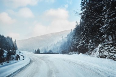 Güneşli bir günde, çam ağaçlarıyla dağlarda yol