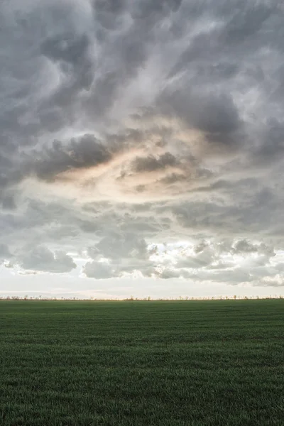 Bewolkte Zonsondergang Voor Onweer Het Platteland Zomer Gras Ingediend Met — Stockfoto