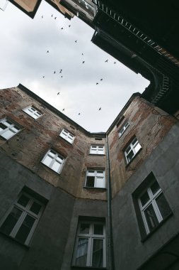 Polonya, Krakow 'daki eski bir avlu. Alt taraf yukarı bakıyor. Gri dramatik gökyüzündeki kuşlar