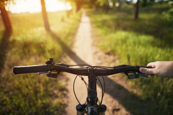 man riding a bike. holding bike handlebar with one hand. summertime outdoor leisure sport activity. first-person view bicycle riding. strong evening sunlight