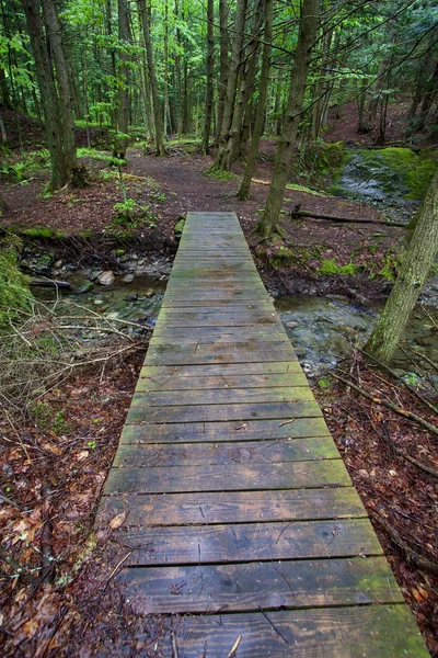 Bos brug — Stockfoto