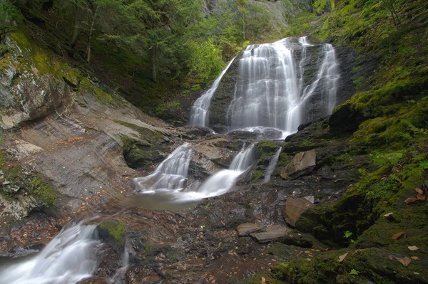 Moosglen fällt — Stockfoto