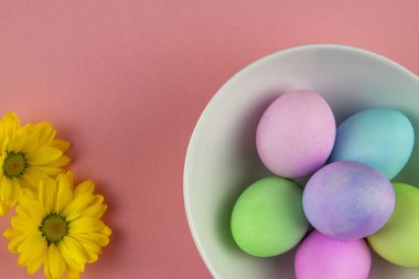 Pastel renkli paskalya yumurtalarını beyaz bir kasede boyayıp...