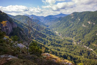 Kuzey Carolina 'nın mavi sırt dağlarındaki güneşli vadi