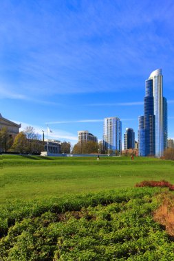 Önünde yeşil çimenler olan Chicago gökdelenleri