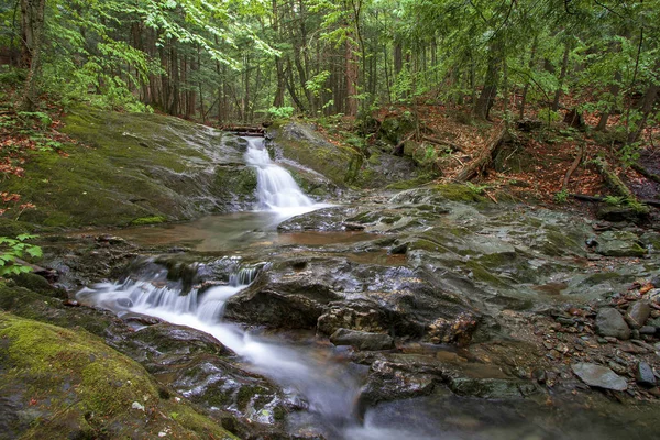 Versteckte Wasserfälle im Wald — Stockfoto