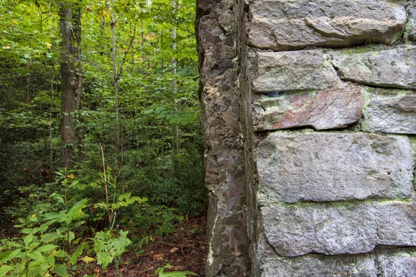 Vieux mur de pierre et forêt close up — Photo