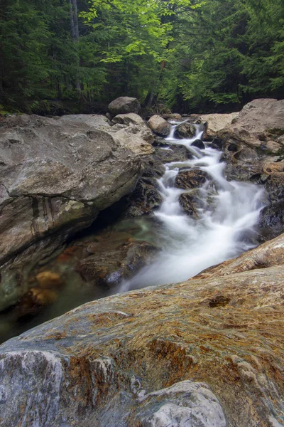 Silky smooth water flowing over rocks through the forest Royalty Free Stock Images