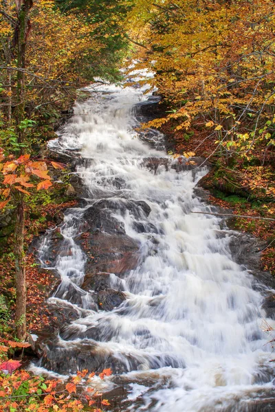 Lebendiger Wasserfall Neuengland Mit Herbstlaub — Stockfoto