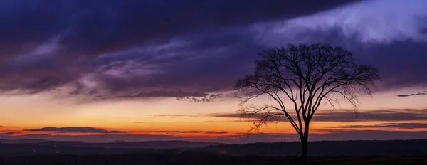 Sílhueta Árvore Entardecer Com Céu Dramaticamente Iluminado Nuvens — Fotografia de Stock