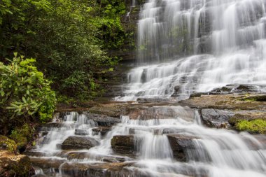 Güney Carolina, ABD 'de yemyeşil ormanlarla çevrili görkemli şelale.