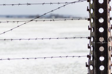 Eskrim, güvenlik, Tel, dikenli, koruma, kontrol, metal, sistem, keskin, yasak