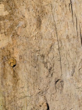 Bir güzel lif yapısı ile eski ahşap yüzey