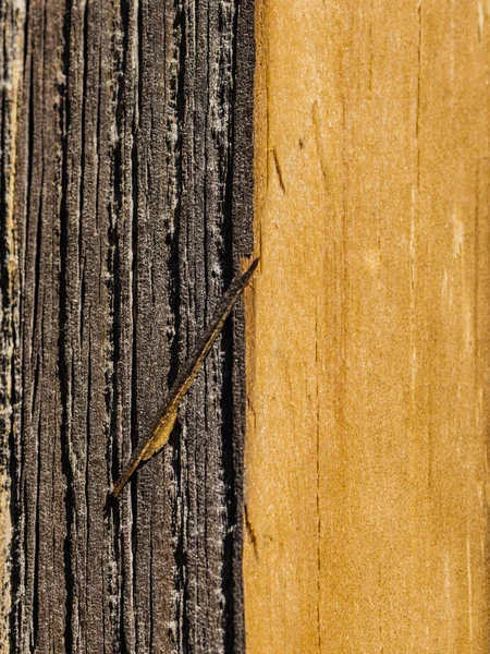 Old wooden surface with a beautiful fiber structure — Stock Photo, Image