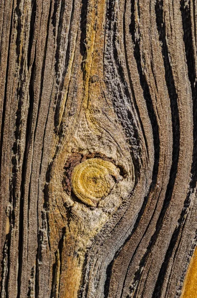 Παλιά ξύλινη επιφάνεια με μια όμορφη fiber δομή — Φωτογραφία Αρχείου