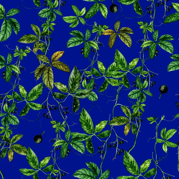 Padrão Aquarela Sem Costura Planta Herbal — Fotografia de Stock