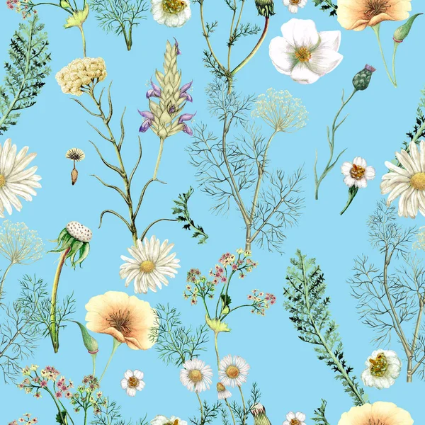 Akvarel Bezešvný Vzor Ručně Kreslené Divoké Květiny — Stock fotografie