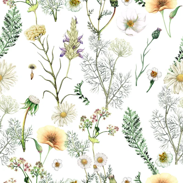 Padrão Sem Costura Aquarela Flores Silvestres Desenhadas Mão — Fotografia de Stock