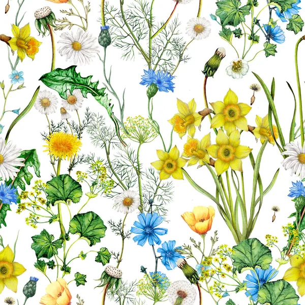 Aquarell Nahtloses Muster Handgezeichneter Frühlingsblumen — Stockfoto